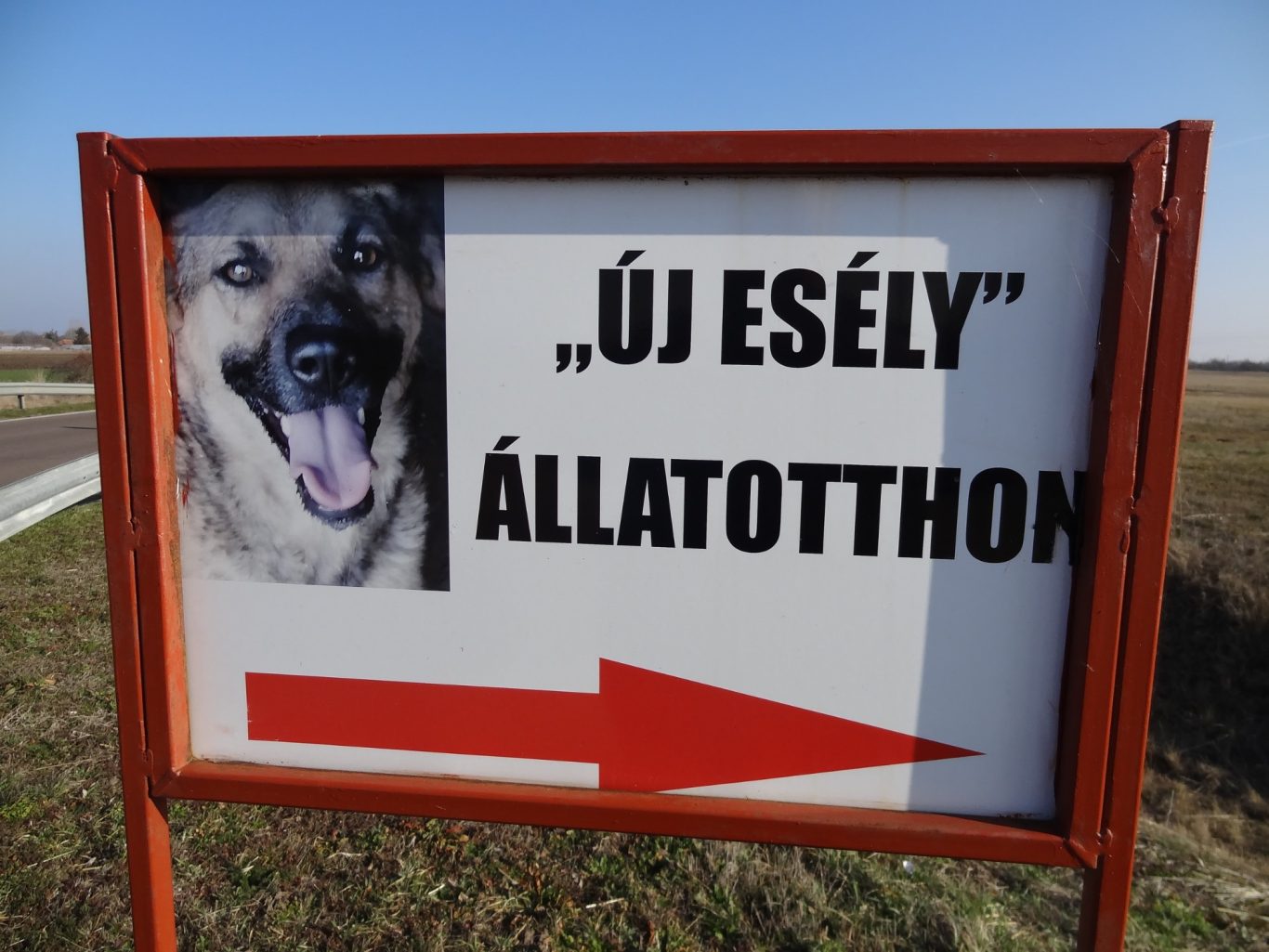 Schild mit Hundebild und der Aufschrift "Új Esély" Állatotthon, Pfeil nach rechts.
